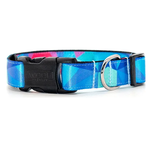 Dog Collar - ADVENTURE COLLECTION - Prism