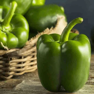 Peppers - Green Bell (lb)