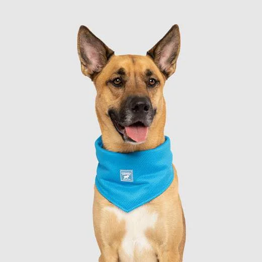 Canada Pooch Chill Seeker Bandana Blue (Small)