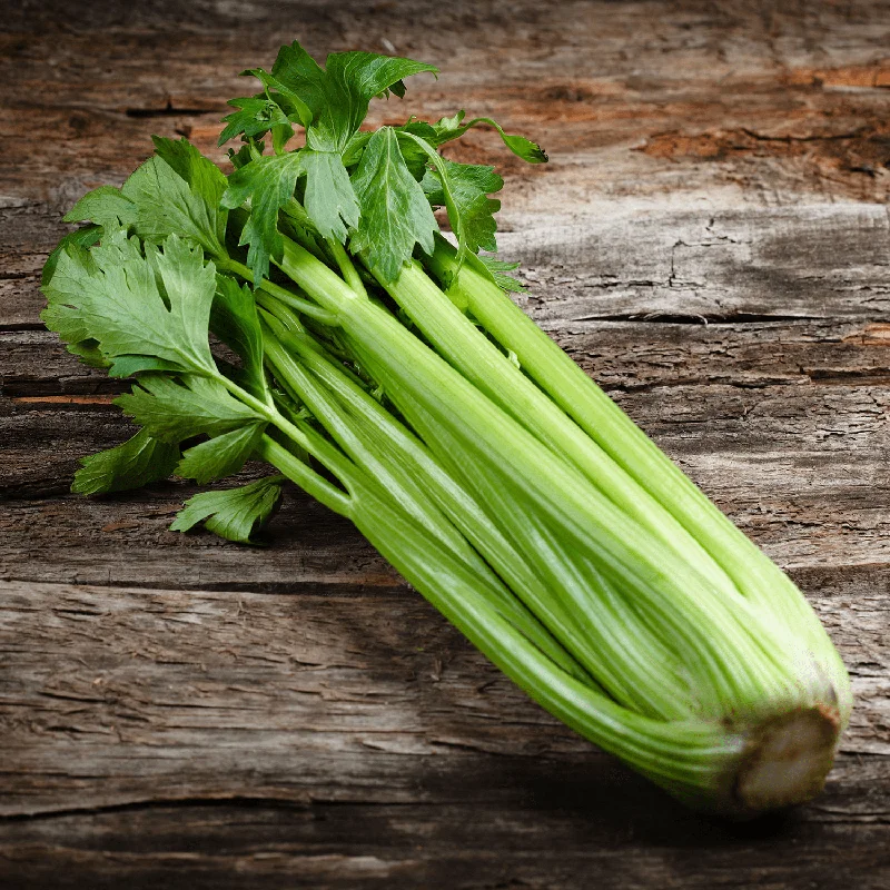 Celery (bunch)