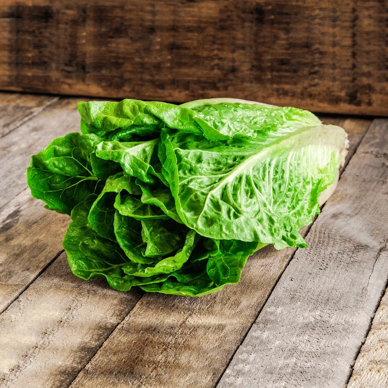 Lettuce - Romaine (3pk)